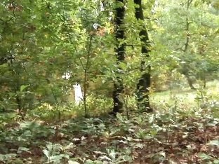Wild Anal Fuck In The Wood