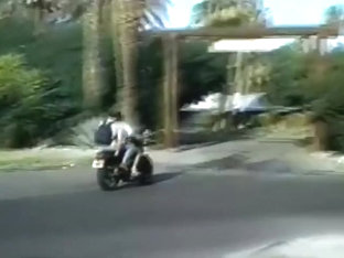 California's Golden Boys (1985)