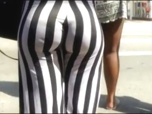 Booty Zebra