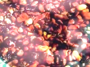 Brain rewire video 2