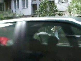 Funny Public Sharking 21