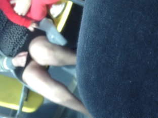 Mature Upskirt In The Bus