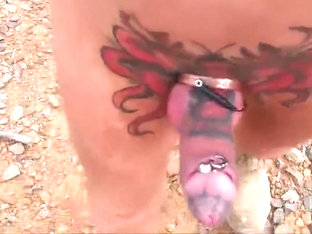 Bush walking my E-stim