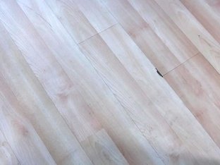 Asian lesbian takes photos of a sexy milf who likes rod