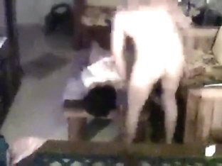 Camara De Seguridad De Una Zorra