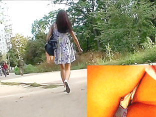 Captivating Upskirt Cutie In The Park