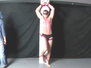 tied stripped and whipped