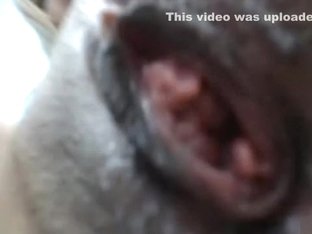 Fabulous Webcam record with Masturbation scenes