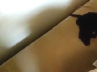 That Babe Creams On The Wang Then Sticks It In Her Arse