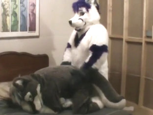 Fursuit sex 2