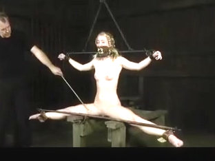 Morning Wood Part Two