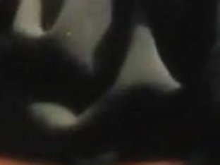 woman in wheelchair gives bj