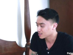 Crash Your Party - Peterfever