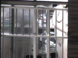 Maravilha de Vizinha 10