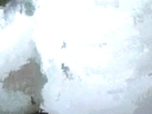 Dilettante Sex Homemade