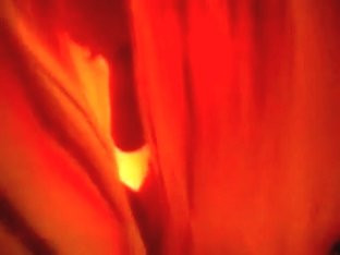 Getting him ready to fuck me!