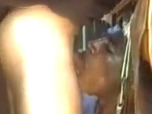 Island Fever - Full Movie