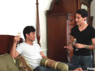 A Toast - Peterfever