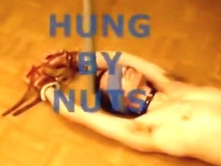 hung by nuts