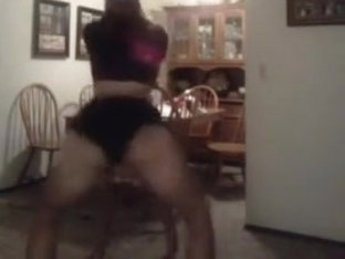 Twerk Team 2 Stupid!!!