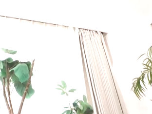 XFI906-MIDGNZSMRD574102233