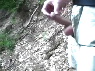 Beim Waldspaziergang