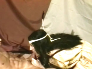 Lana luster native american