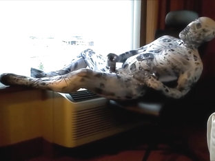 arachnaphobia zentai cums into black condom