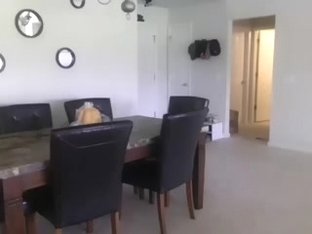 Blondes Have More Fun