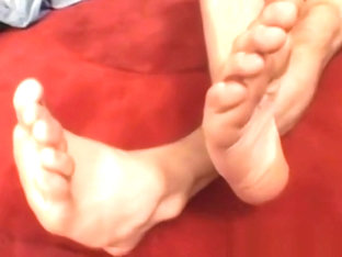 Smooth stud playing with his big gorgeous feet