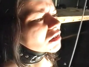 Hottie Bitch Bdsm Submissive Fetish