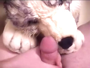 Large Huskie 03 - piddle cum