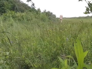Naked outdoor walk in open field with pissing and cumming