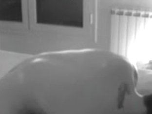 Hidden web camera fun