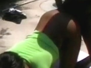 Cassandar Curves three