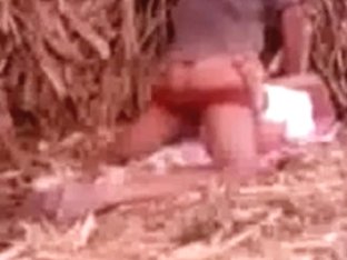 Indian Girls Have Sex On A Farm After School