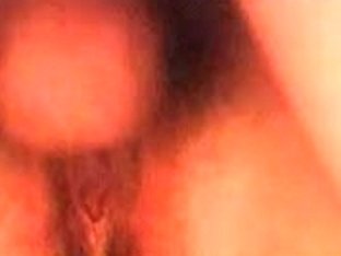 Mature and 2 young cocks 7