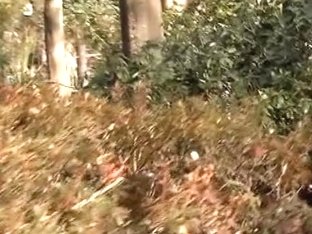 Japanese Sharking Video Of A Cute Gal Sitting In A Park