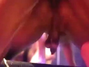 BRASIL CARNIVAL ORGY PARTY