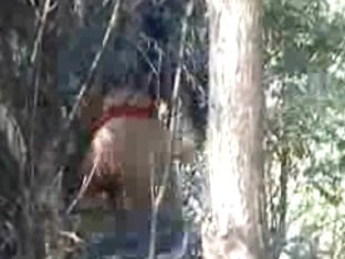 Horny Chicks Pissing In The Forest On The Spy Camera
