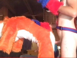 Fursuit sex 111