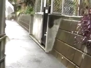 Chubby Japanese Babe Got A Street Sharking In The Rain.
