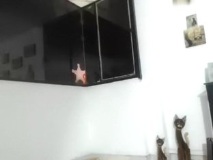 candyhotsex secret episode on 1/26/15 00:29 from chaturbate