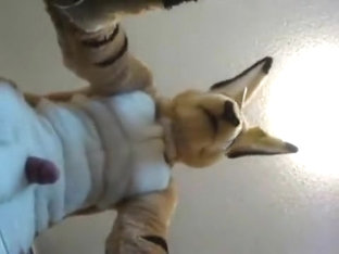 Fuzzyroo And the Glass Table