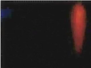 Shanis détruite et humiliée ..