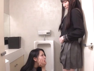 X1x4dcfb79337e8b6fdc4