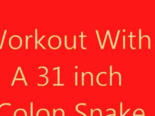 31 Colon Snake