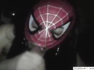 Halloween spider broad blows and swallows