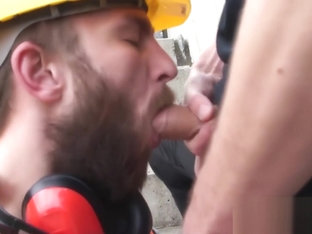 Bearded cock sucker orally services a big one for cash
