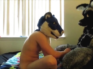 Fursuit sex 108
